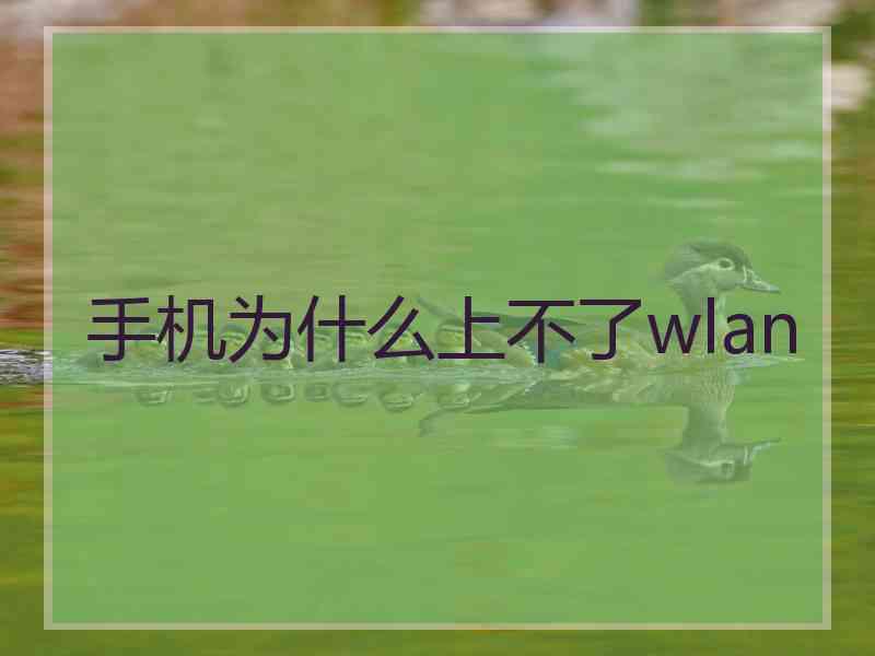 手机为什么上不了wlan