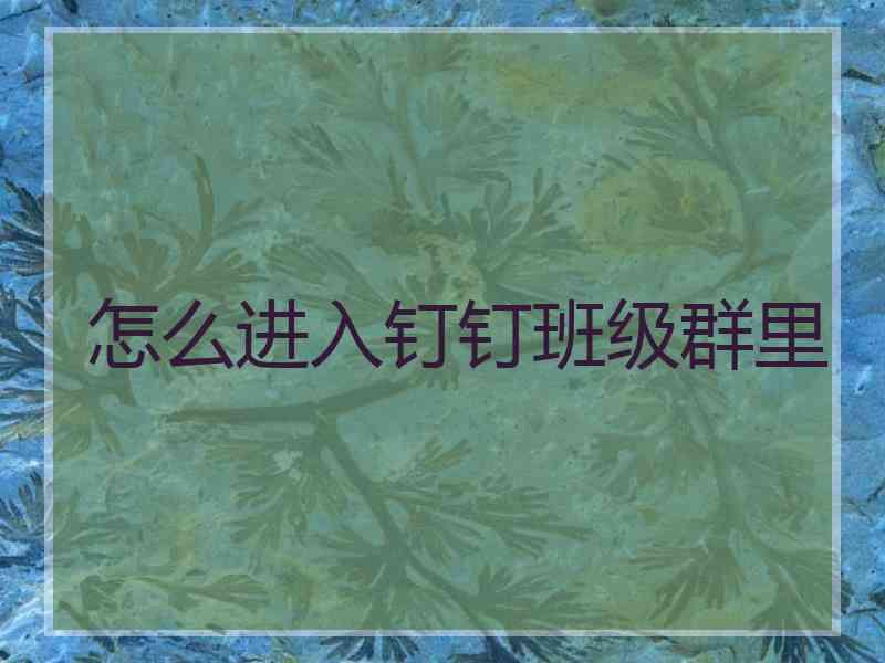 怎么进入钉钉班级群里