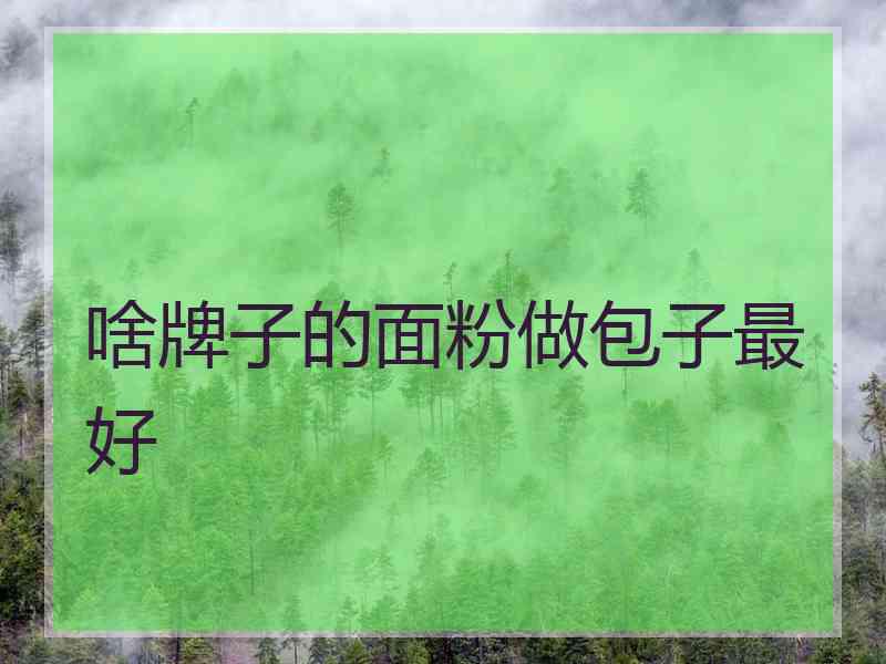 啥牌子的面粉做包子最好