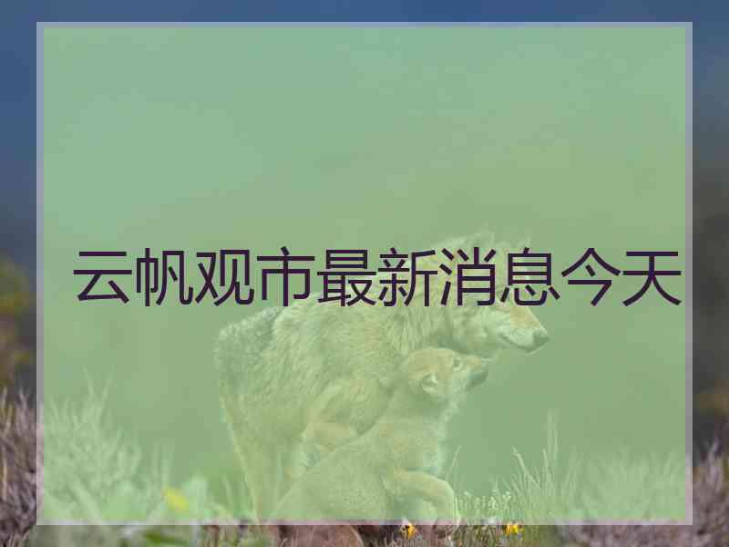 云帆观市最新消息今天