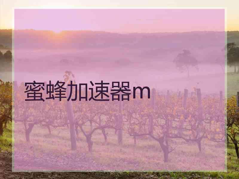 蜜蜂加速器m