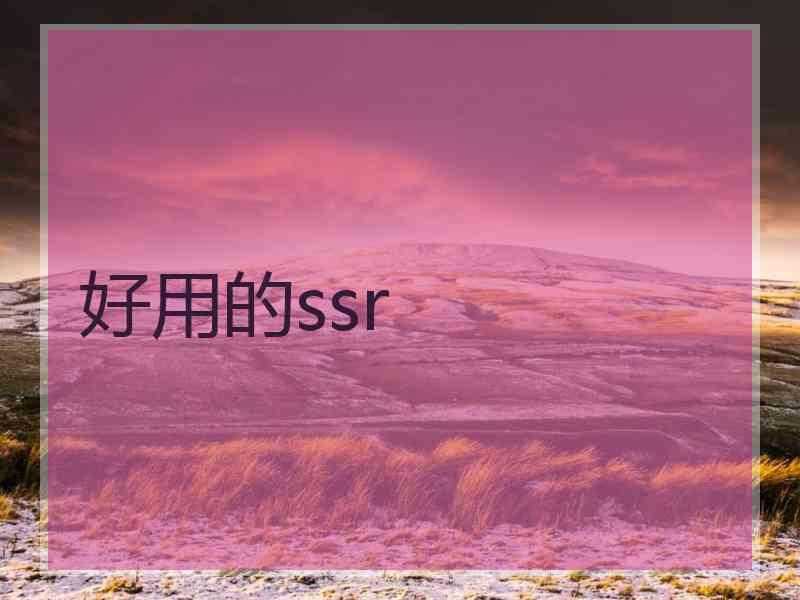 好用的ssr