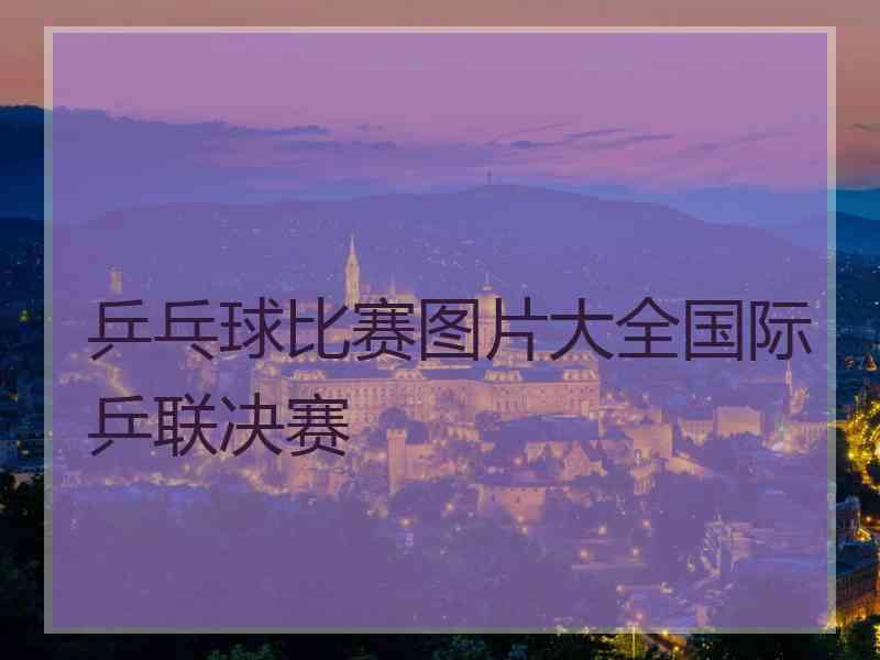 乒乓球比赛图片大全国际乒联决赛