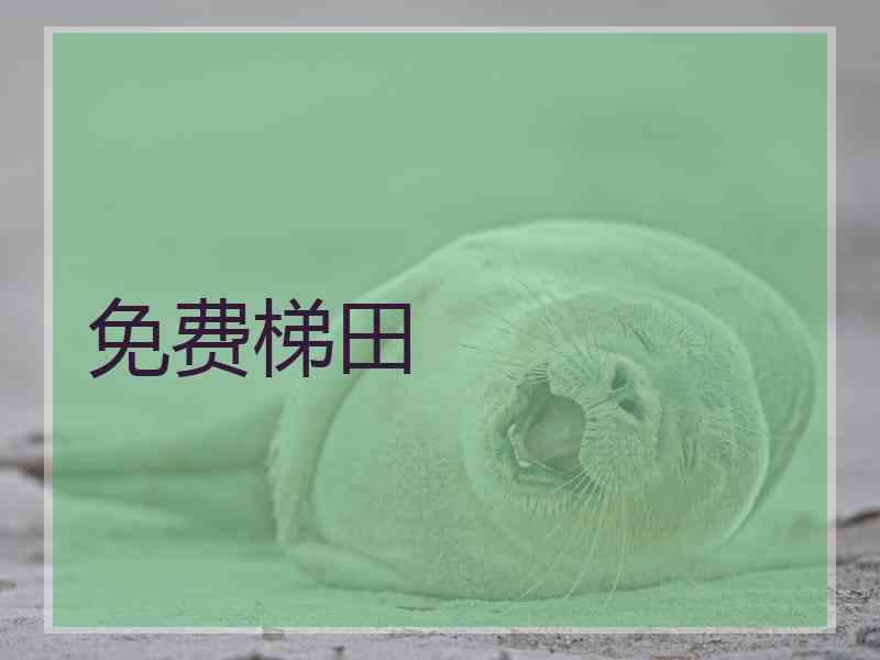 免费梯田