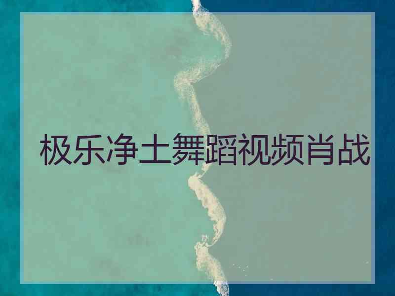 极乐净土舞蹈视频肖战