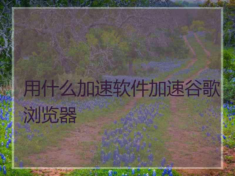 用什么加速软件加速谷歌浏览器