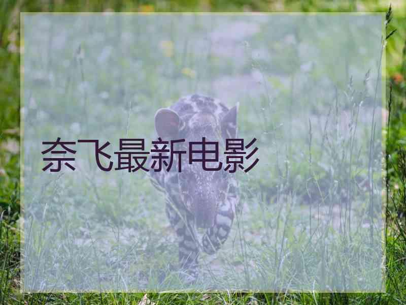 奈飞最新电影