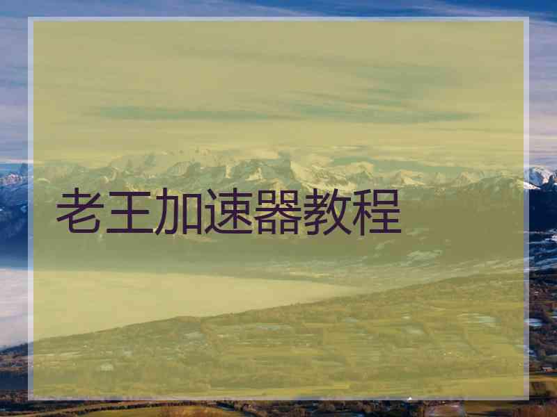 老王加速器教程