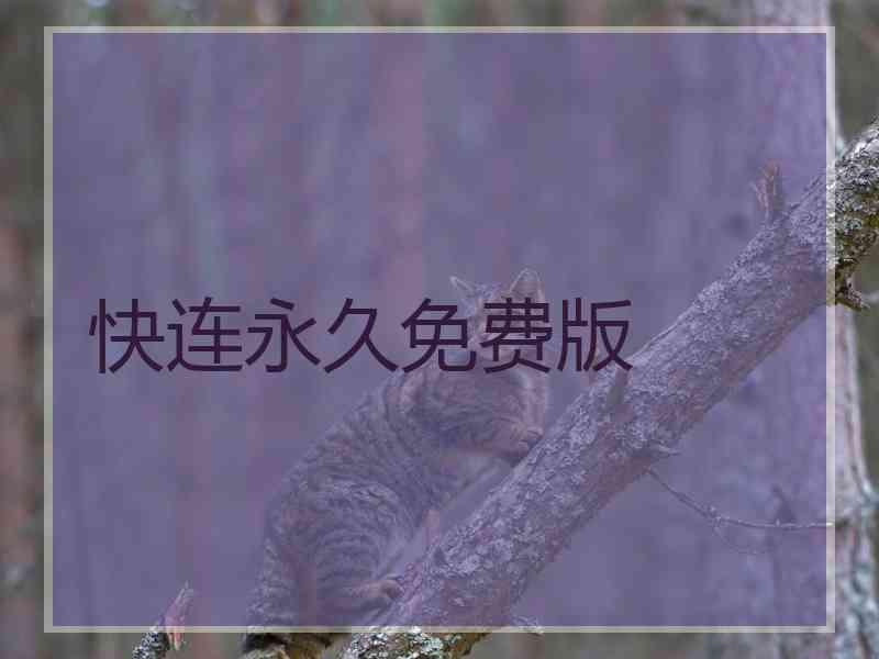 快连永久免费版