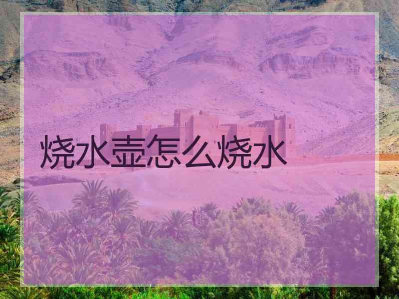 烧水壶怎么烧水