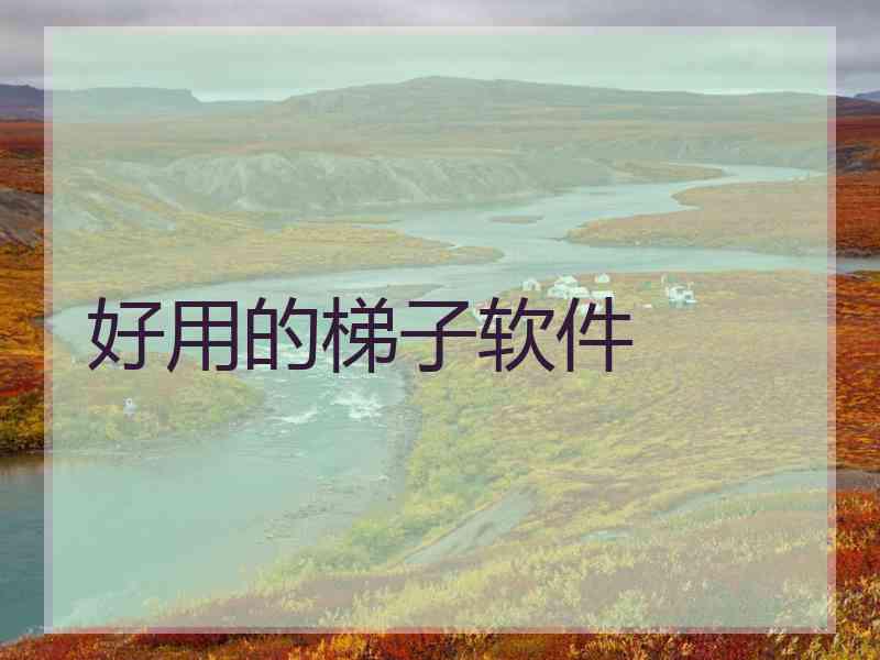 好用的梯子软件