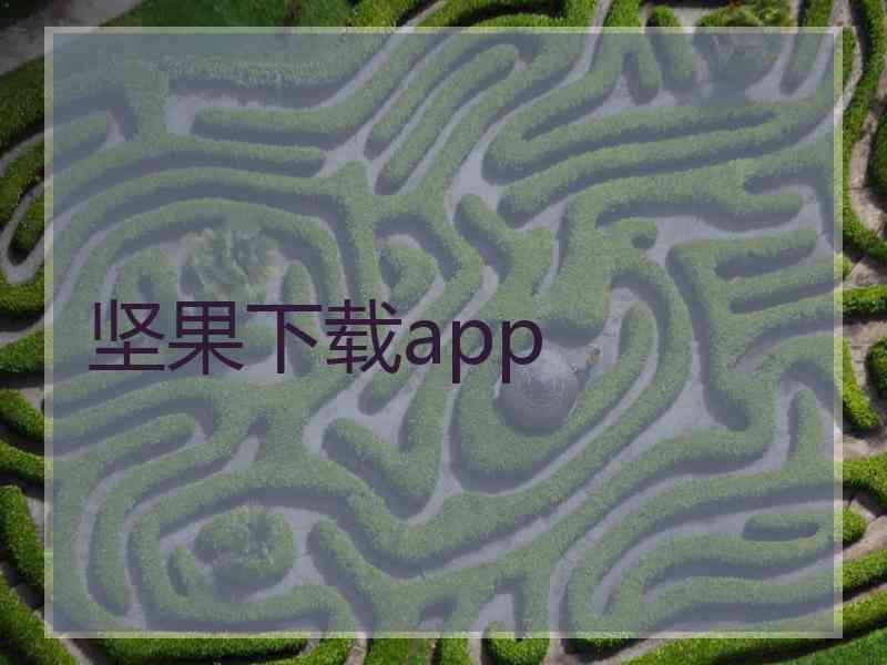 坚果下载app
