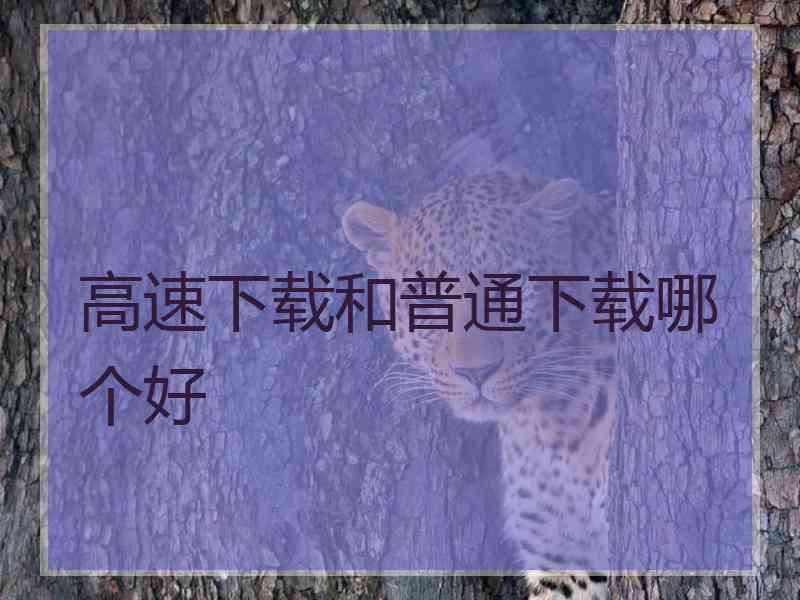 高速下载和普通下载哪个好