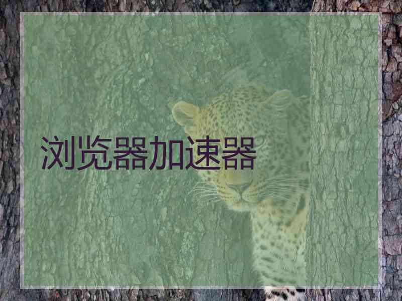 浏览器加速器