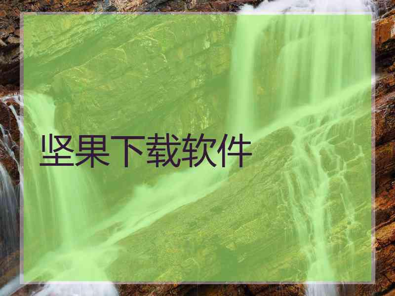 坚果下载软件