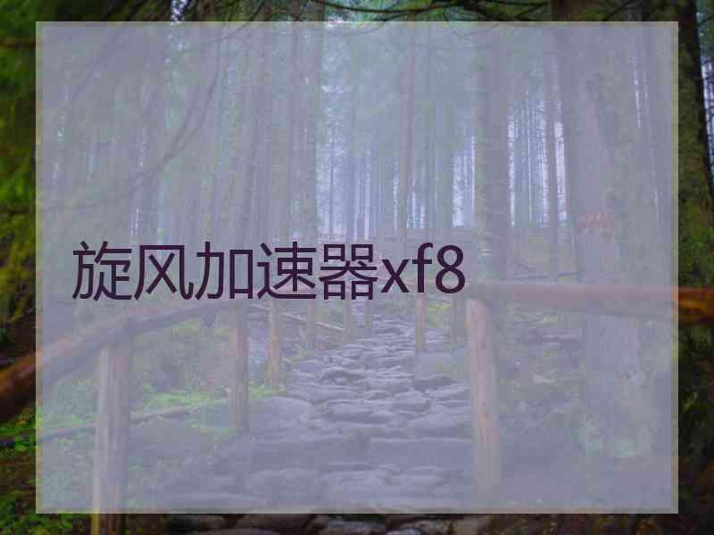 旋风加速器xf8