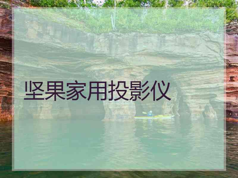 坚果家用投影仪