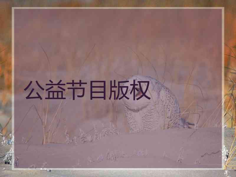 公益节目版权