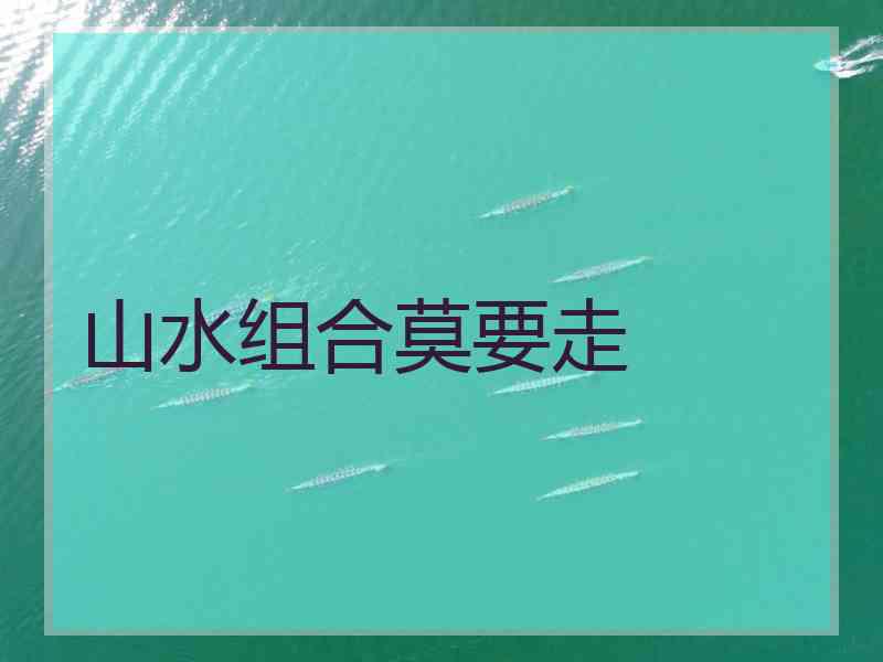 山水组合莫要走