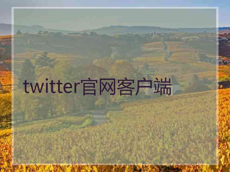 twitter官网客户端