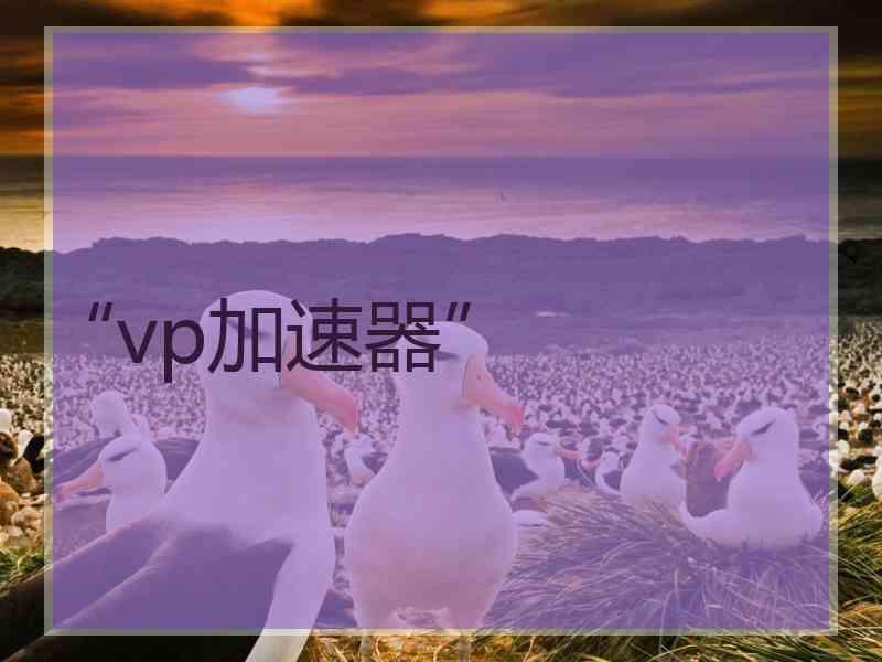 “vp加速器”