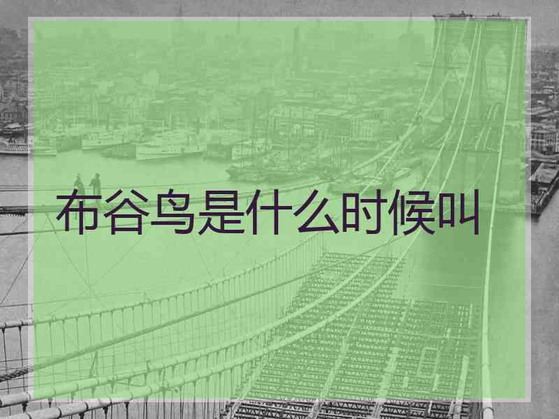 布谷鸟是什么时候叫