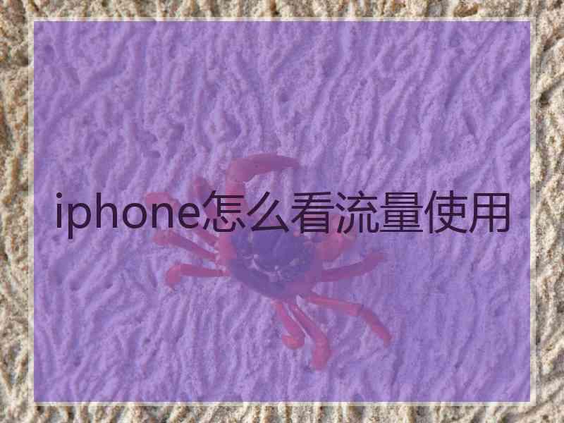 iphone怎么看流量使用