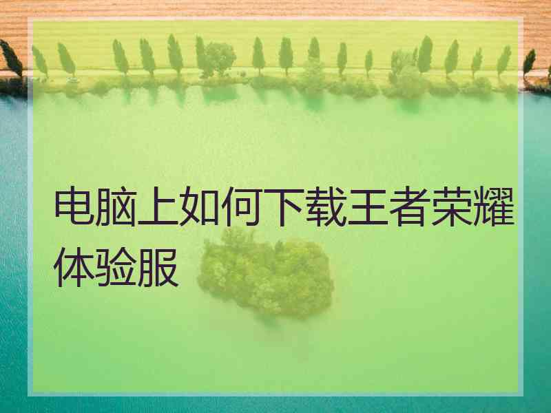 电脑上如何下载王者荣耀体验服