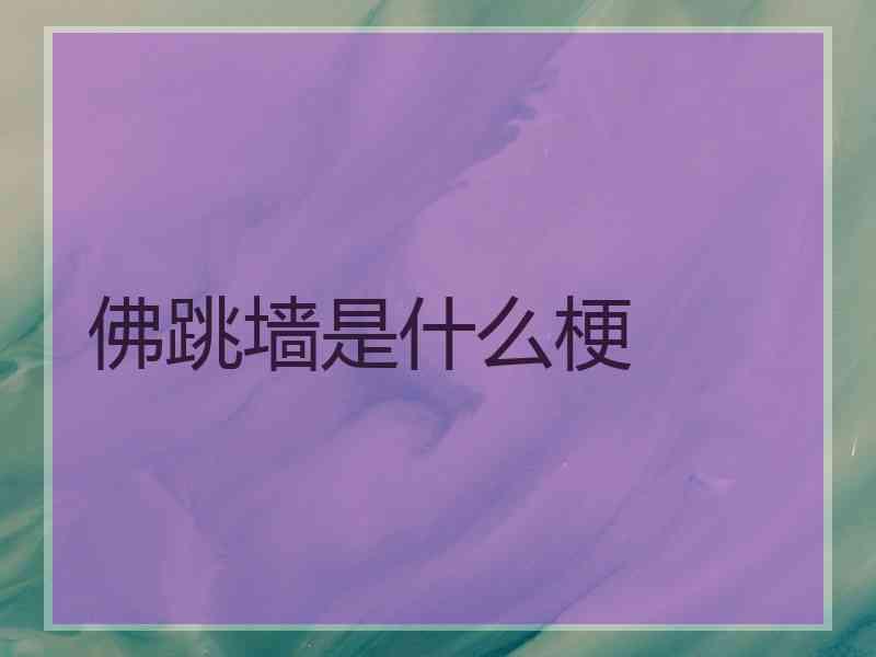佛跳墙是什么梗