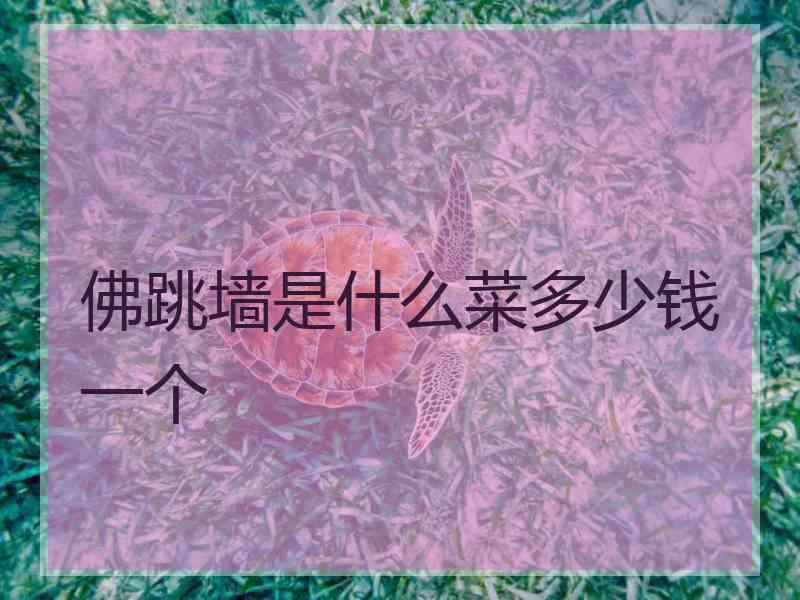 佛跳墙是什么菜多少钱一个
