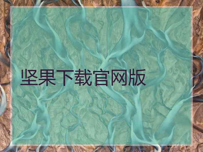 坚果下载官网版
