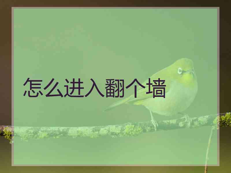 怎么进入翻个墙