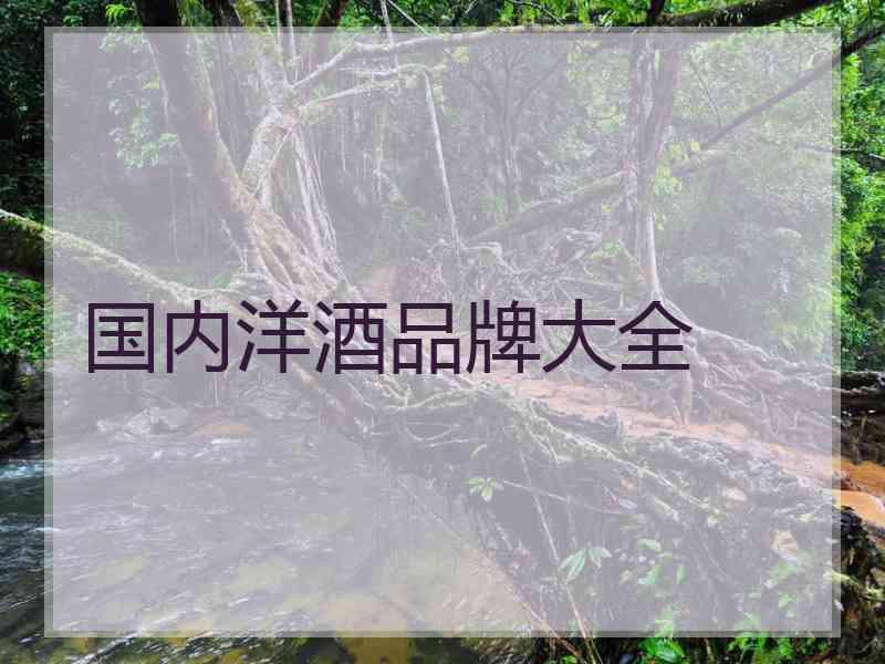 国内洋酒品牌大全