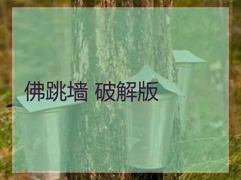 佛跳墙 破解版