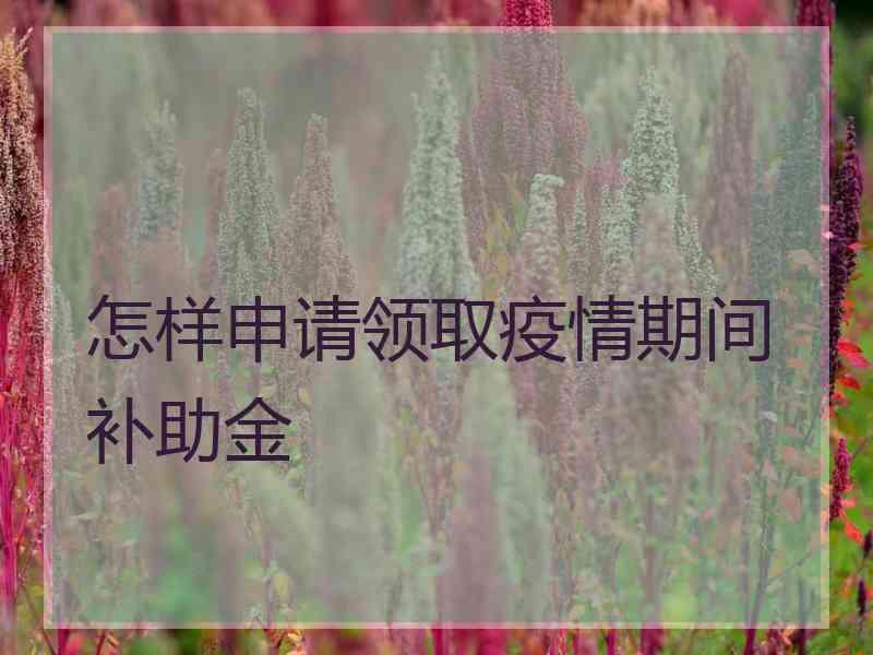 怎样申请领取疫情期间补助金