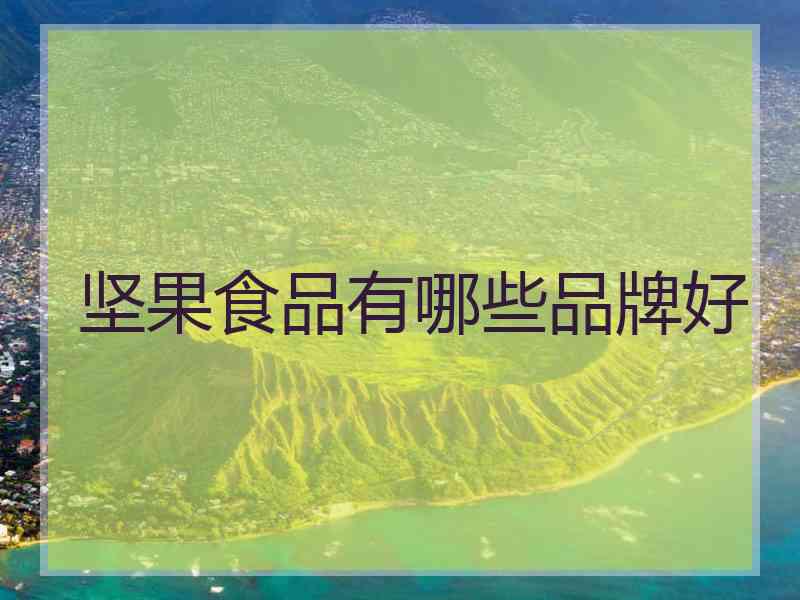 坚果食品有哪些品牌好