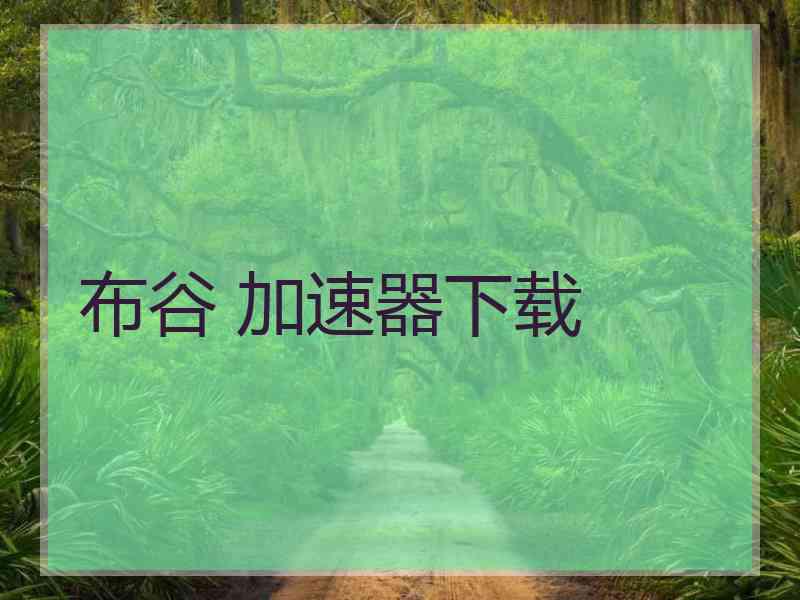 布谷 加速器下载