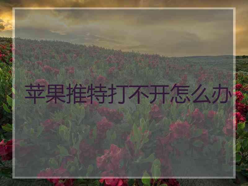 苹果推特打不开怎么办