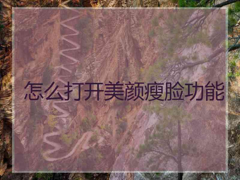 怎么打开美颜瘦脸功能