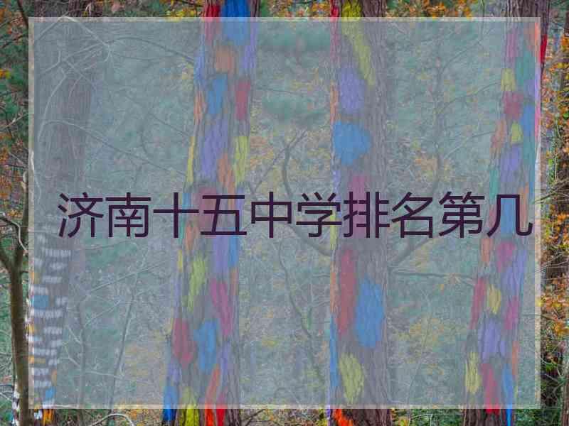 济南十五中学排名第几