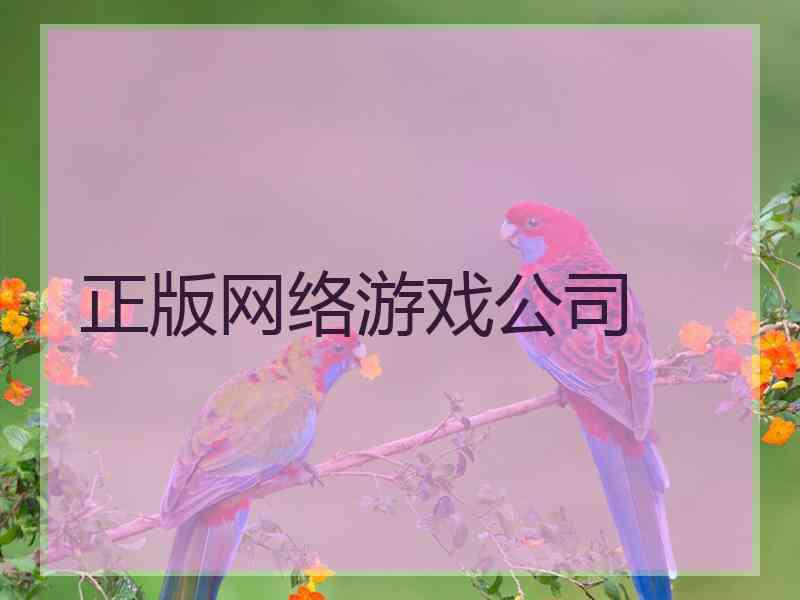 正版网络游戏公司
