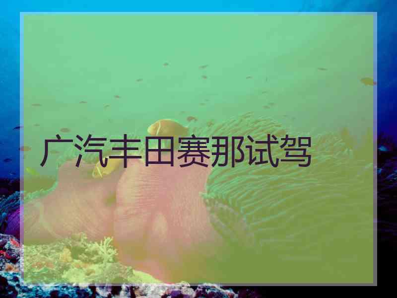 广汽丰田赛那试驾