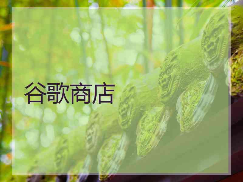 谷歌商店