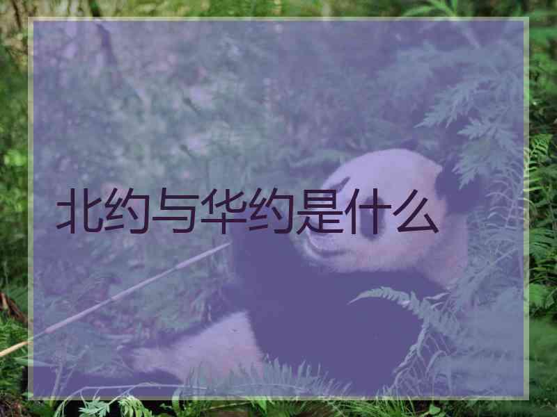 北约与华约是什么
