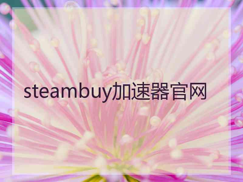 steambuy加速器官网
