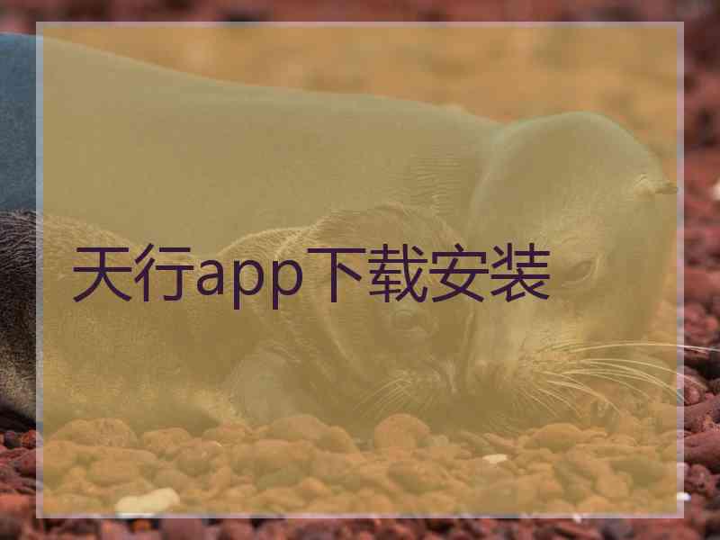 天行app下载安装