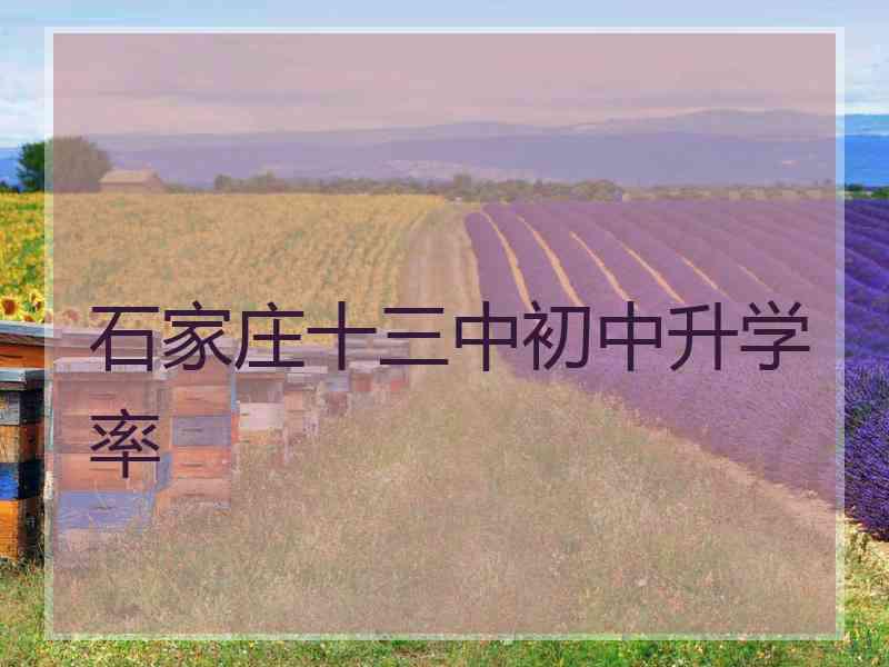石家庄十三中初中升学率