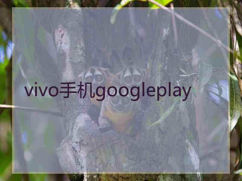 vivo手机googleplay
