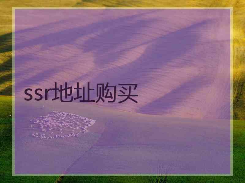 ssr地址购买