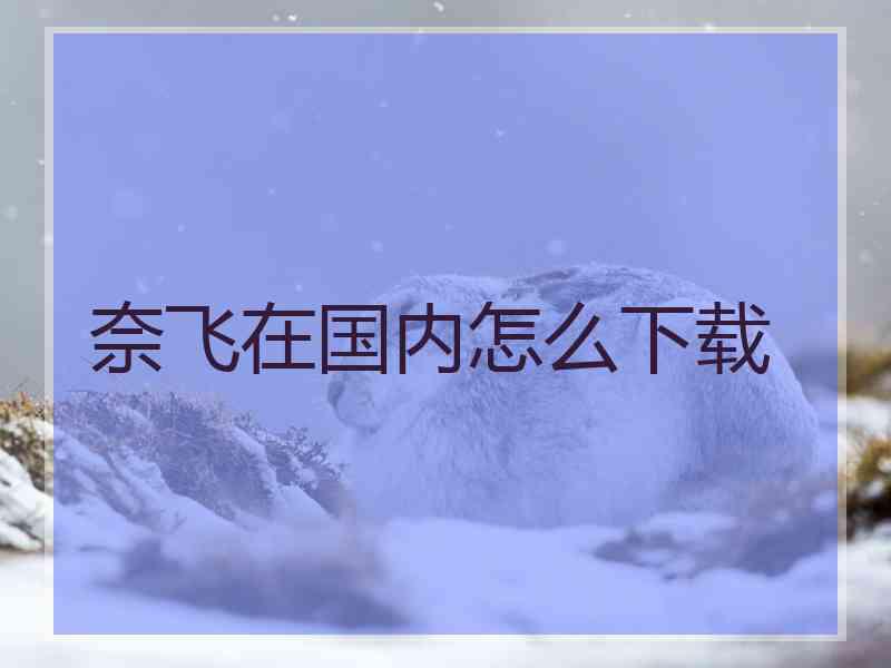 奈飞在国内怎么下载